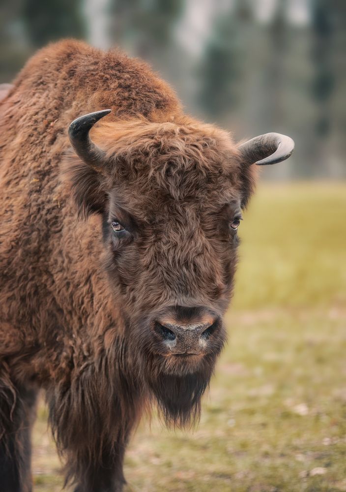 Photograph by Julia Carr