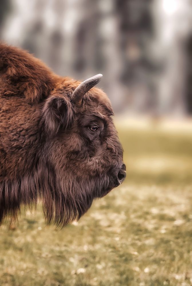 Photograph by Julia Carr