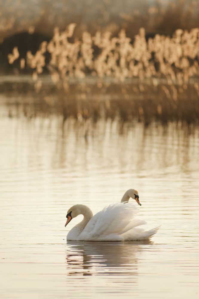 Photograph by Александр Калин