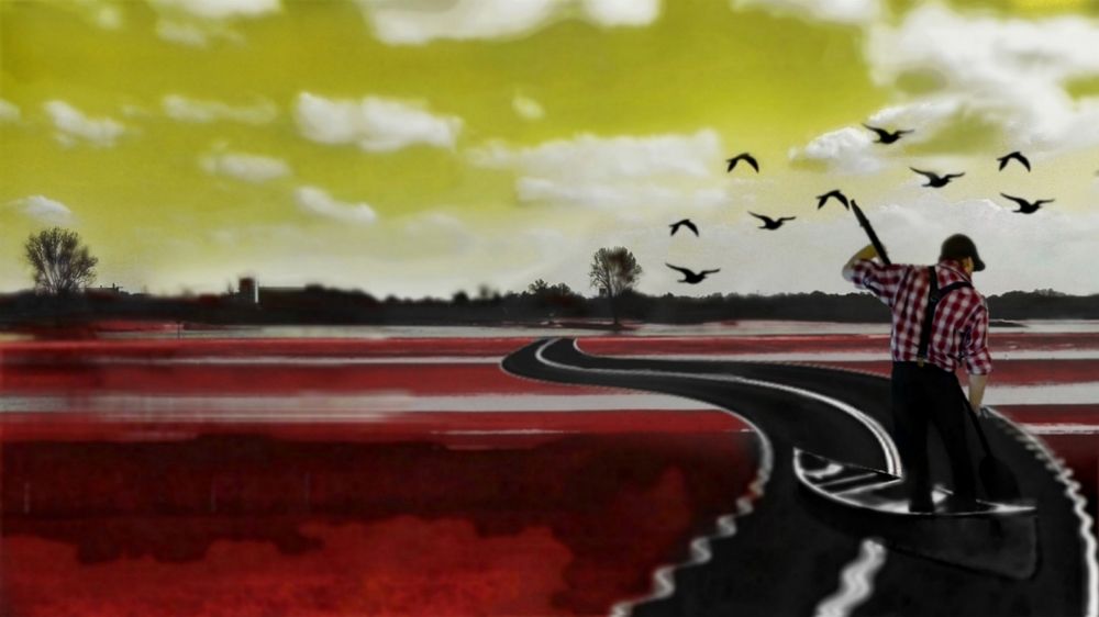 Looking for a Dreamland