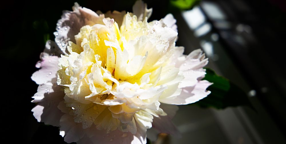 Photograph by ILONA KILA