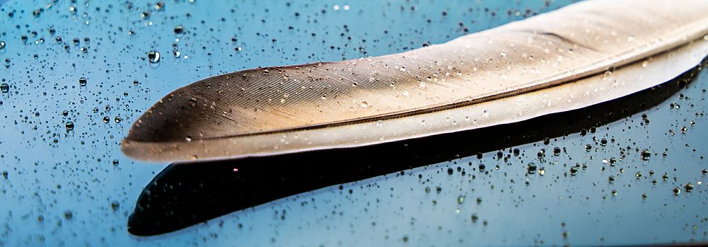 Photograph by ILONA KILA