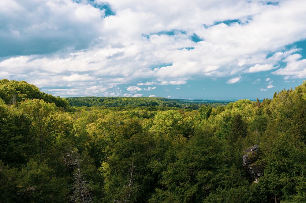 Photograph by Jasmeet Nagra