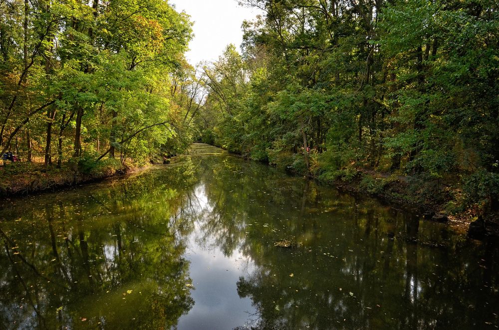 Photograph by Владимир Погребной