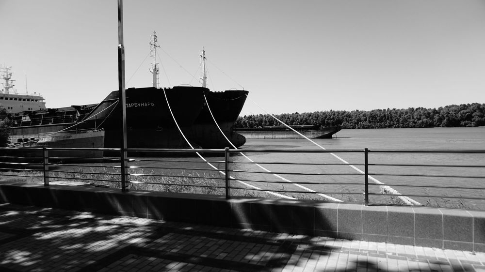 Фотография автора Алина Прищепа