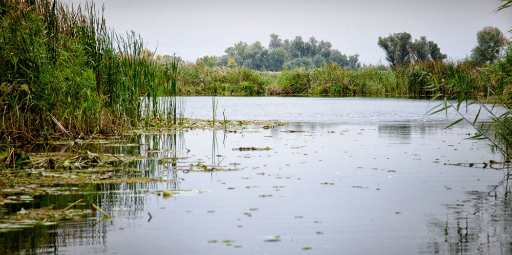 Photograph by Владимир Погребной