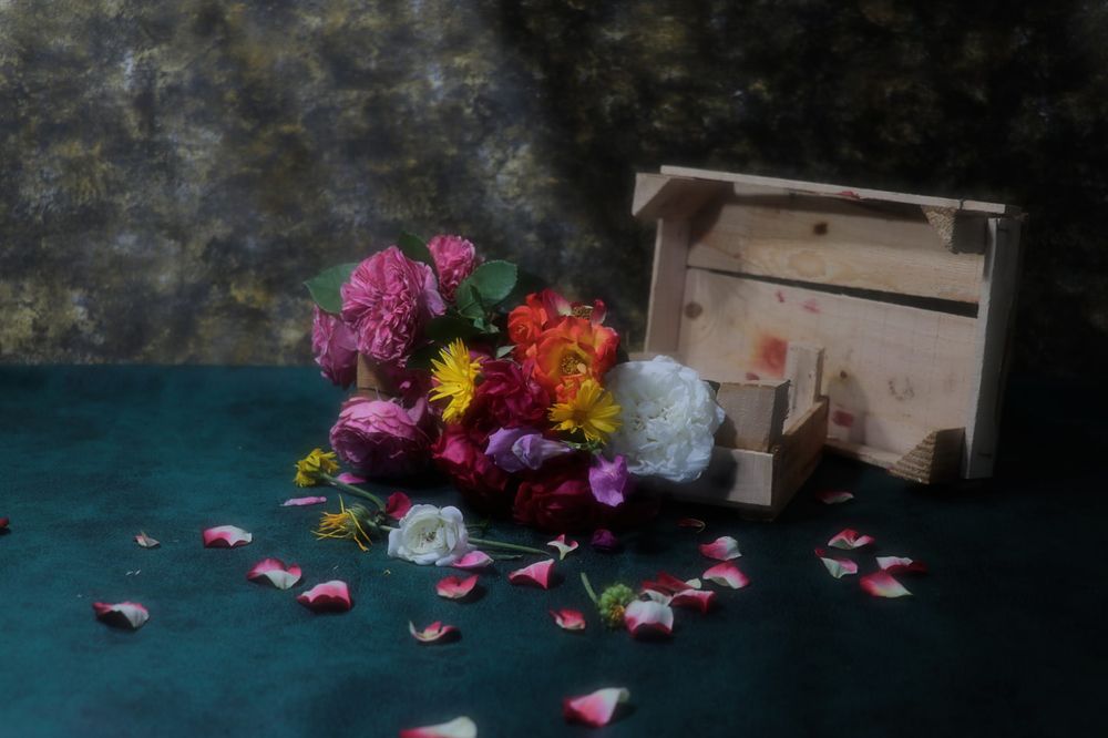 Photograph by ahmet erkan yavuzcan