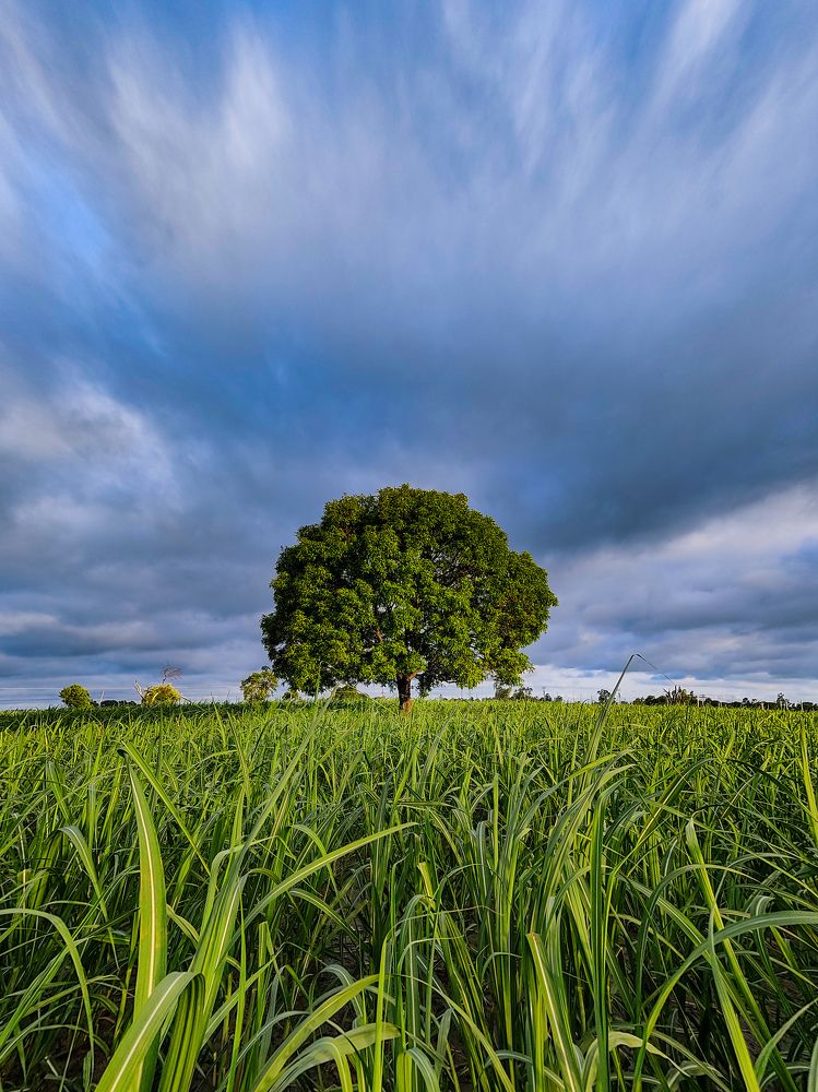 Photograph by Rajat Dixit