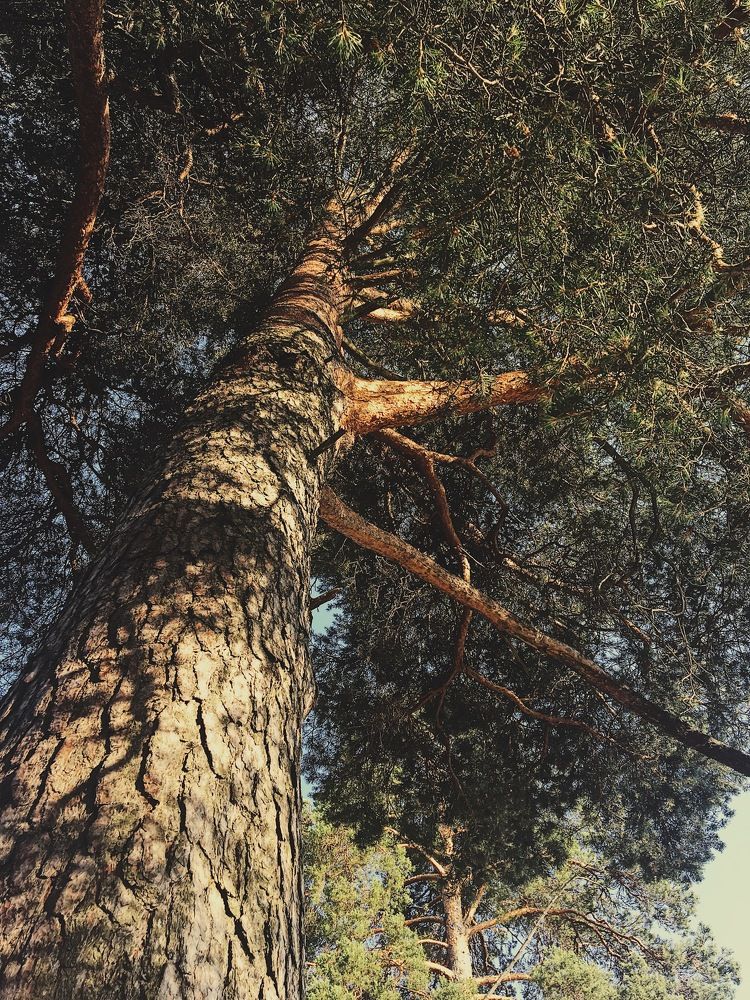 Photograph by Гребёнкина Ирина