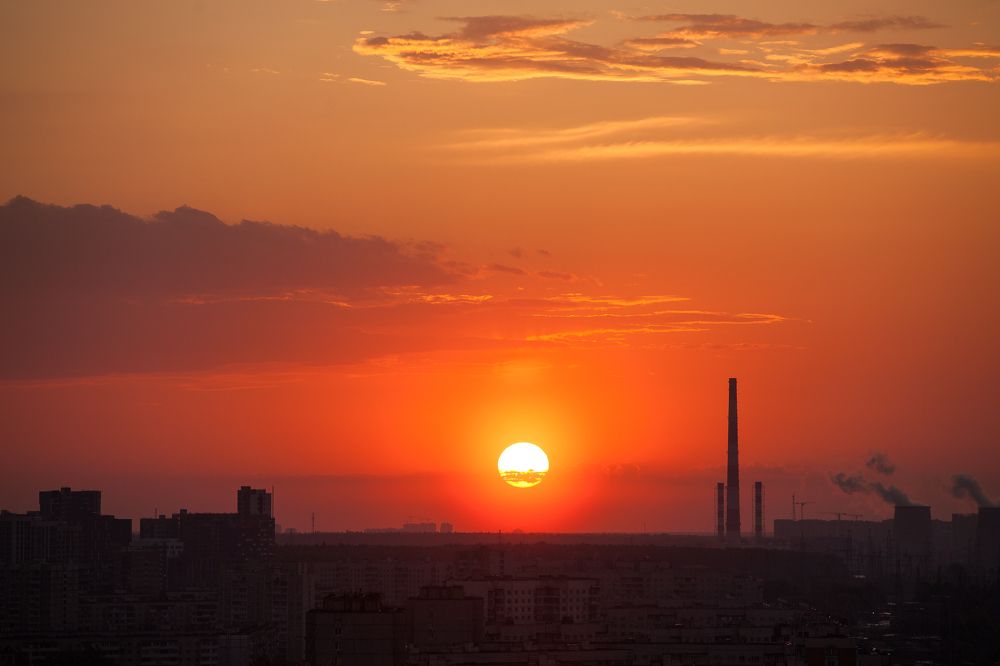 Фотография автора Мария Веселова