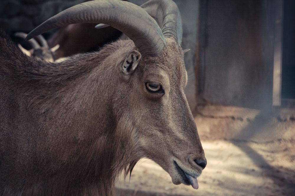 Фотография автора Мария Веселова