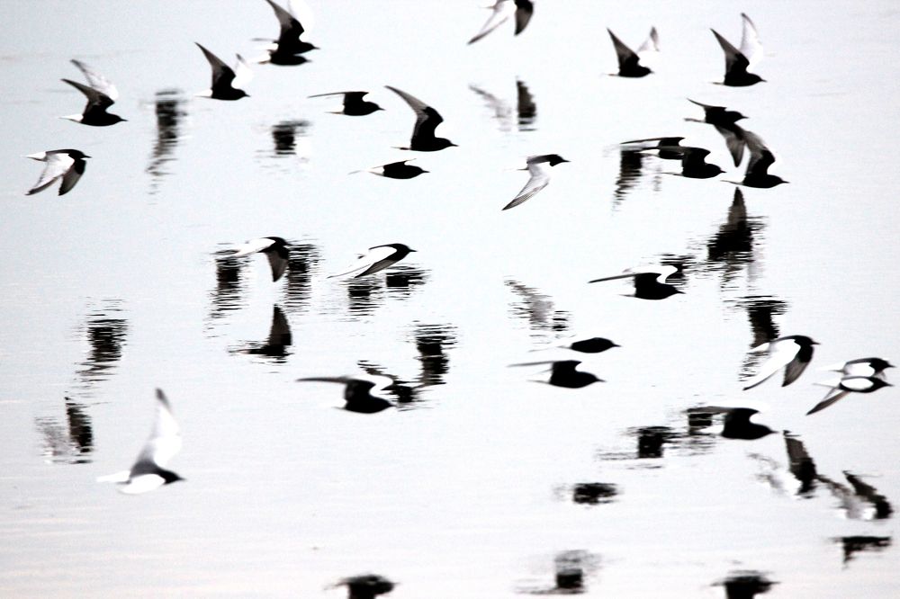 Photograph by Anna Suchcicka