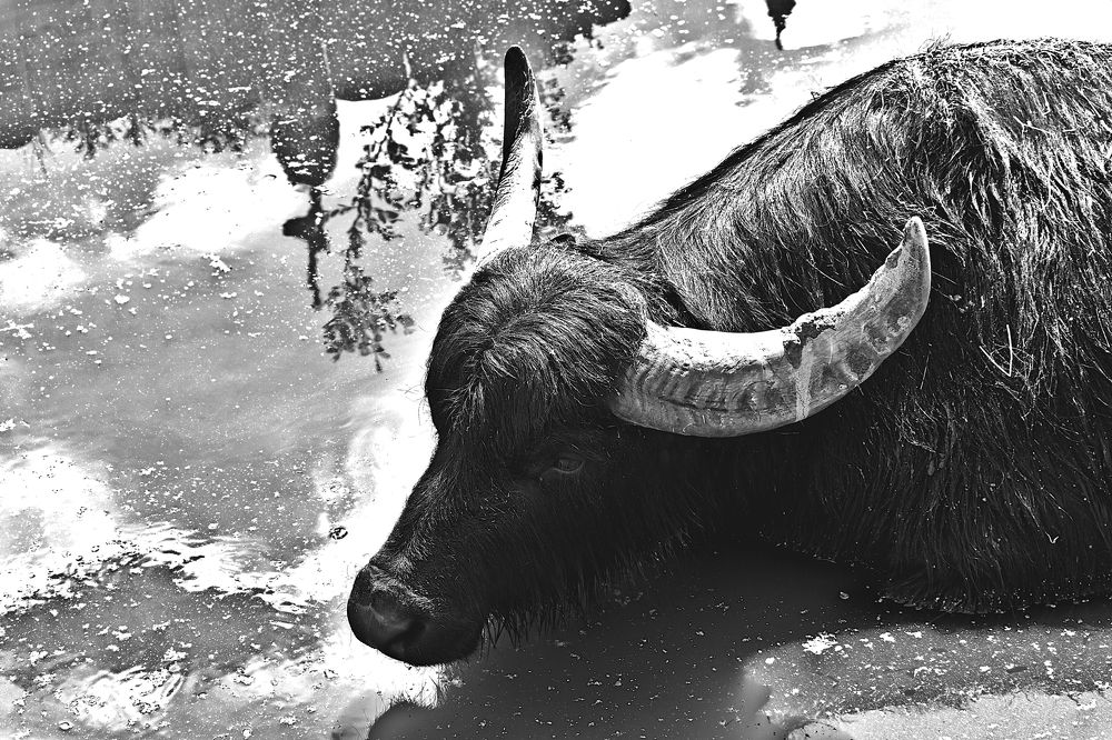 Фотография автора Livija Gotz