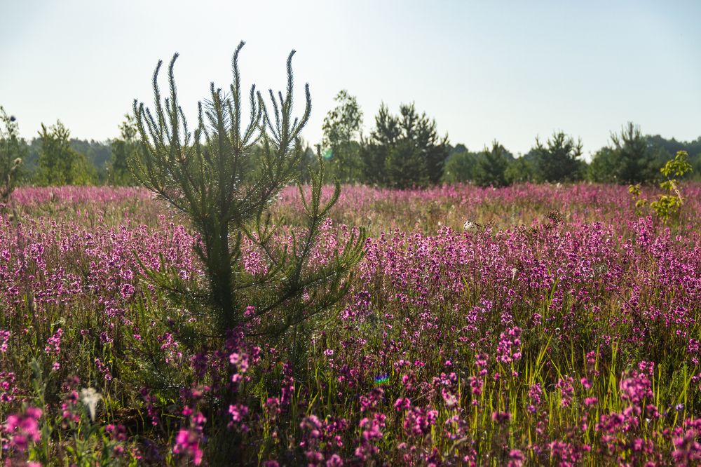 Photograph by Алексей