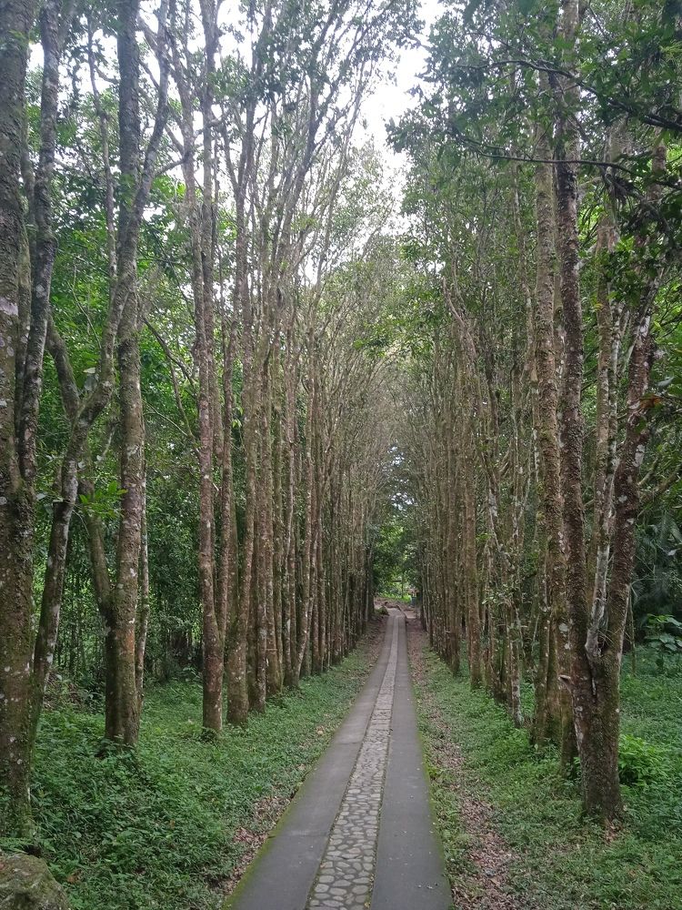 Paz natural