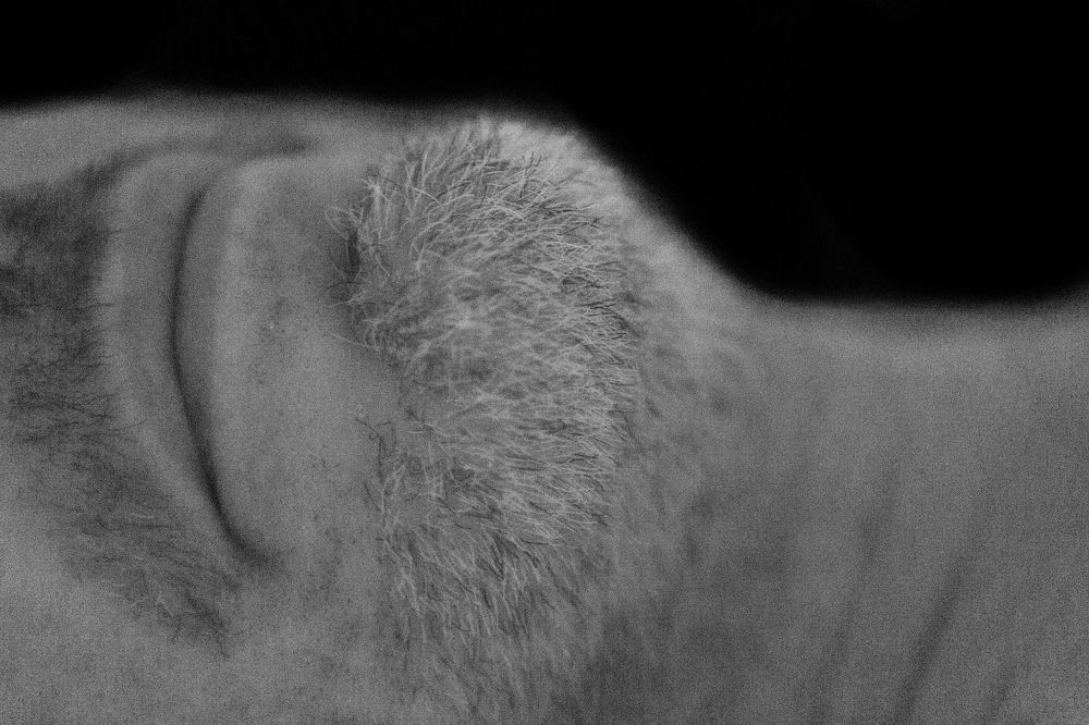 Photograph by NATACHA PERSYN