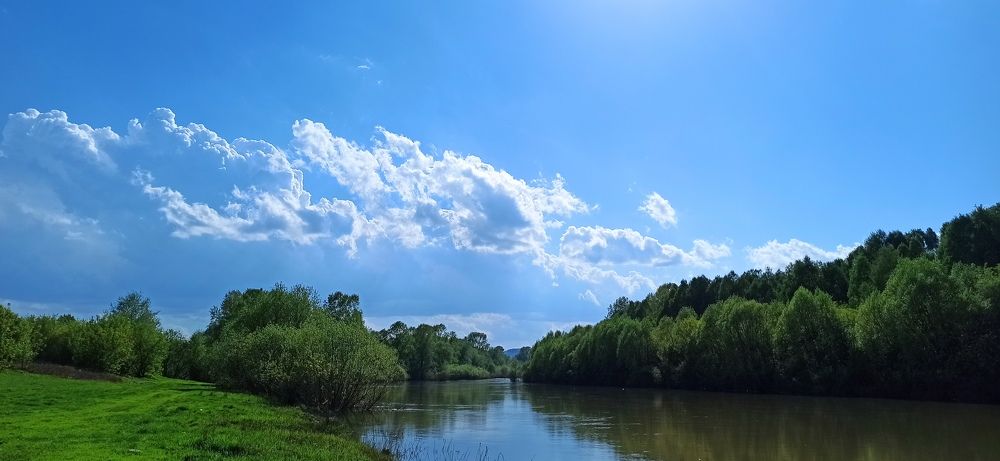 Река Кондома. Протока.