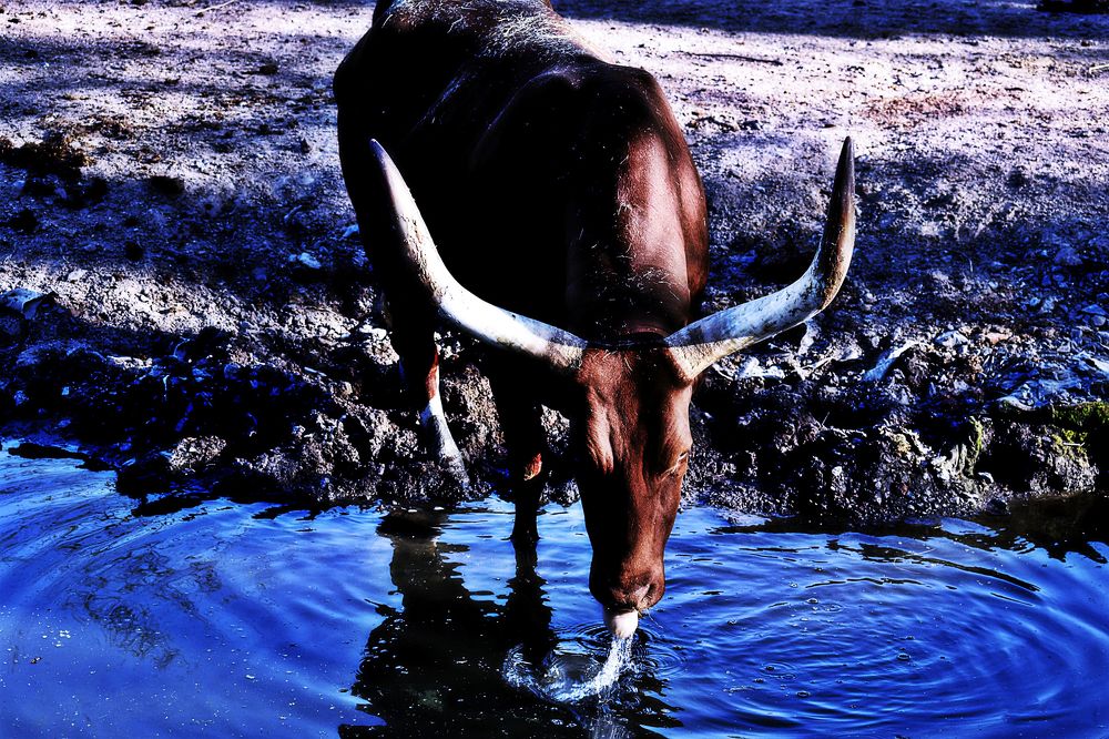 Фотография автора Livija Gotz