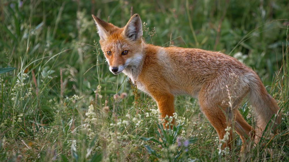 Photograph by Артем