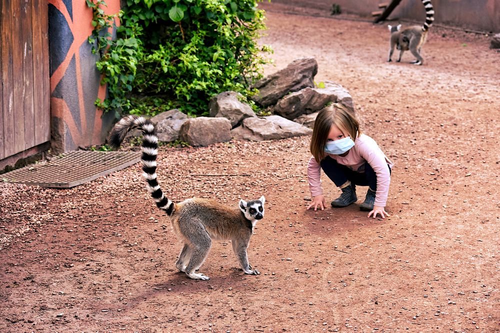 Фотография автора Livija Gotz