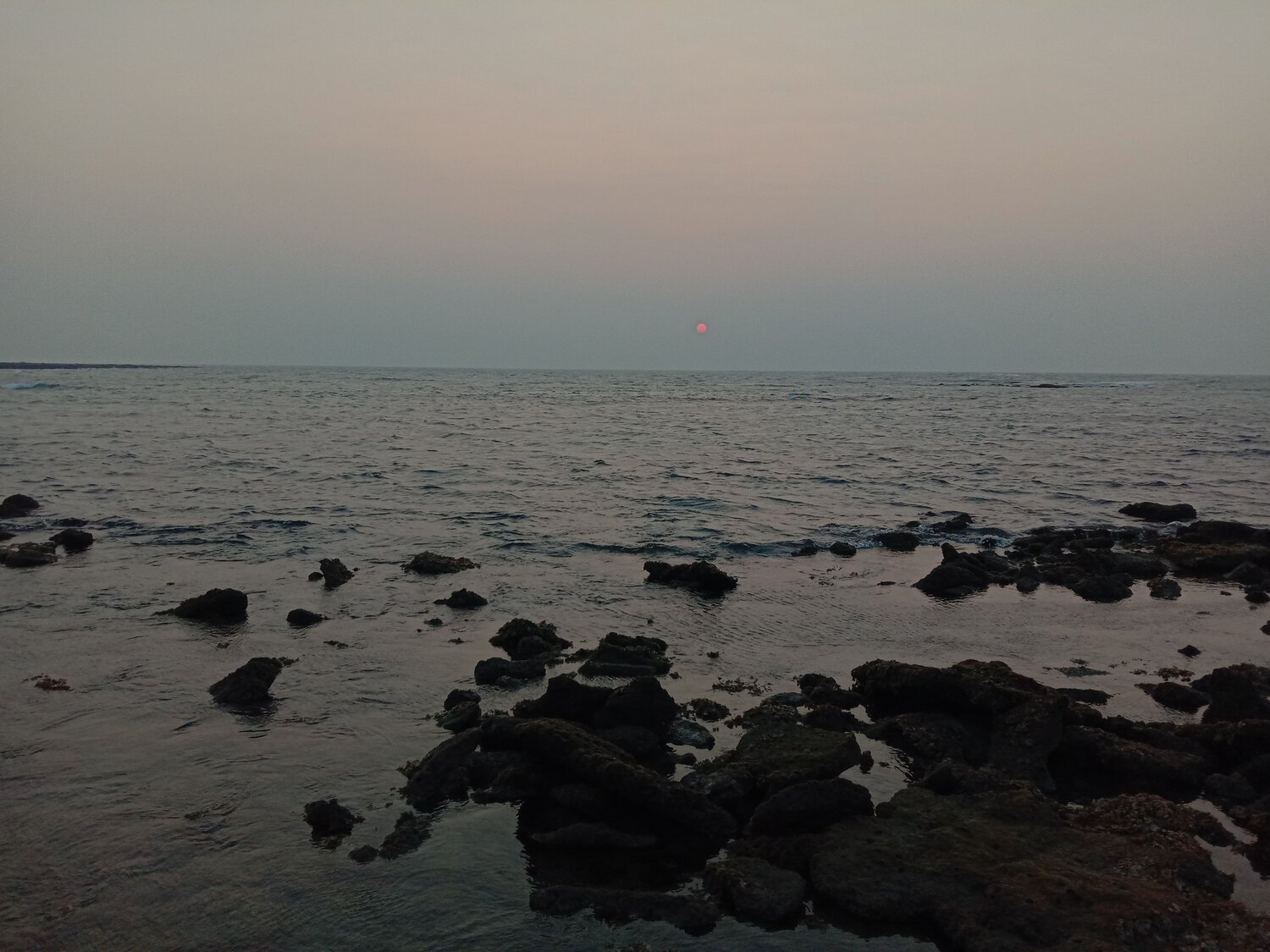 Photo #6227614