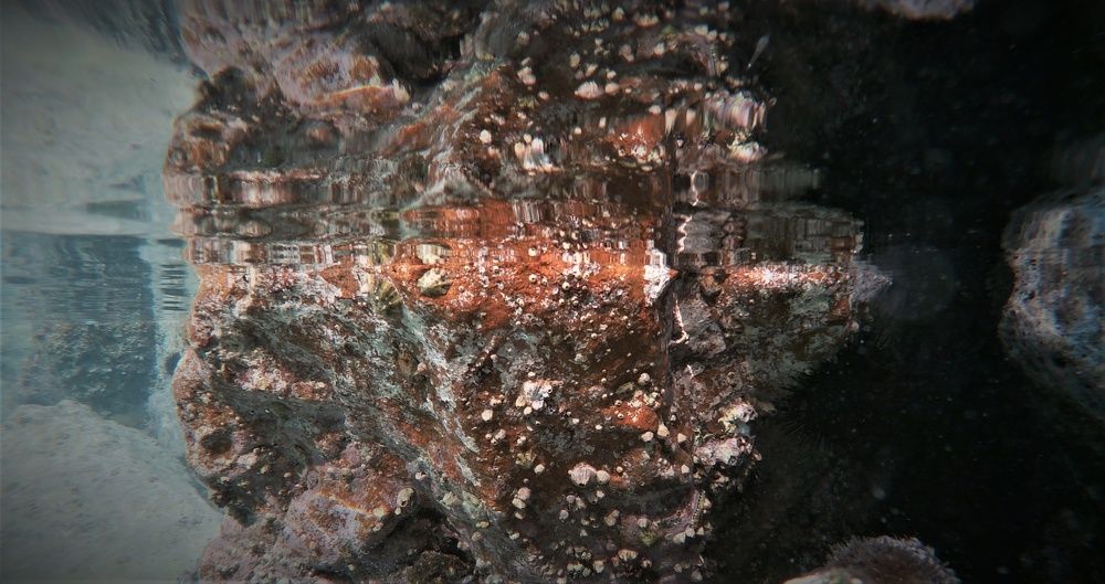 Underwater mirror....