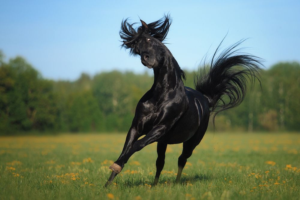 Photograph by Дарья Ералева