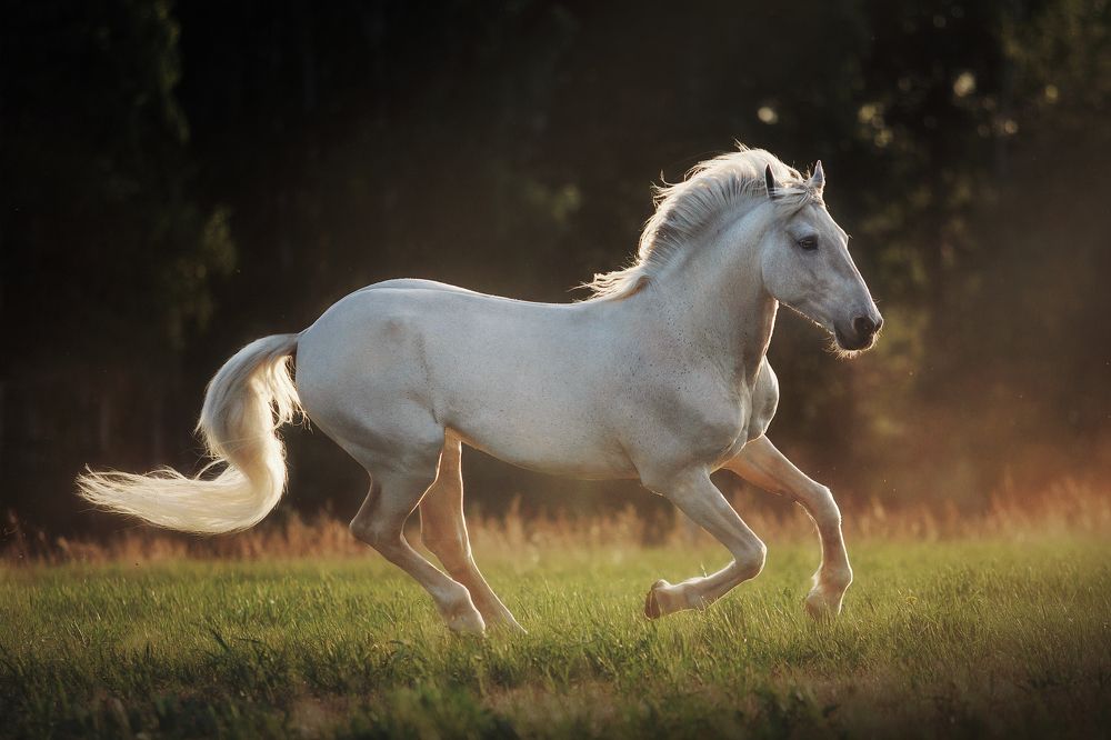 Photograph by Дарья Ералева