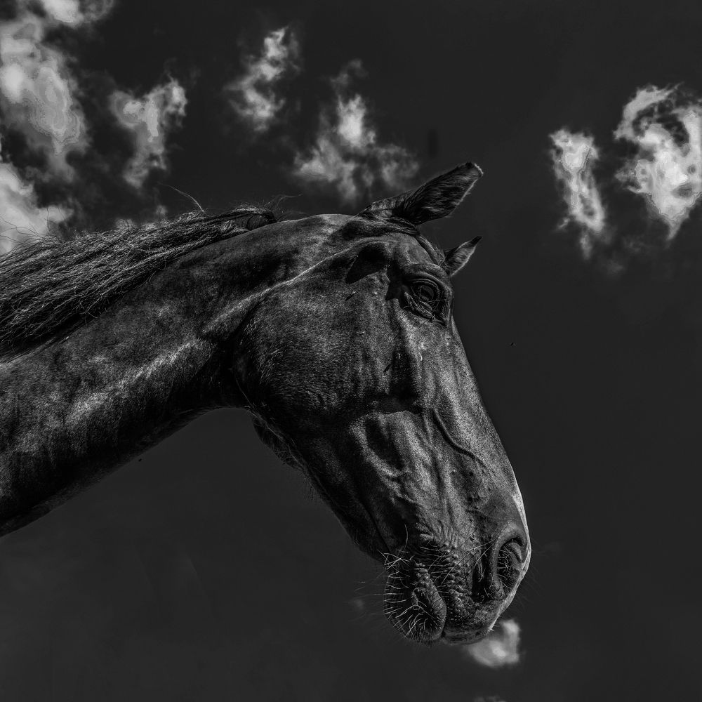 Photograph by Sladjana Radovanovic