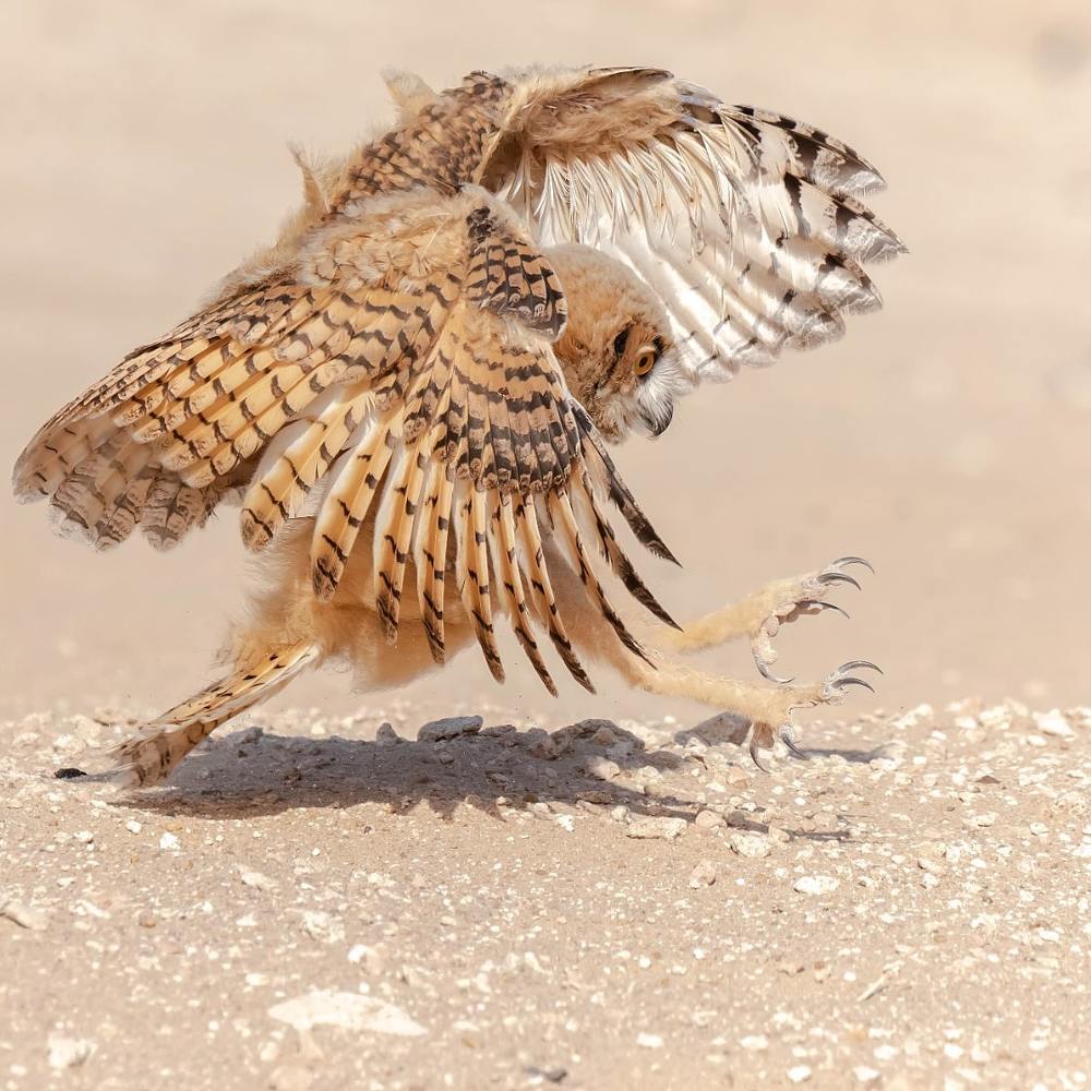 Photograph by Sudhir Raj