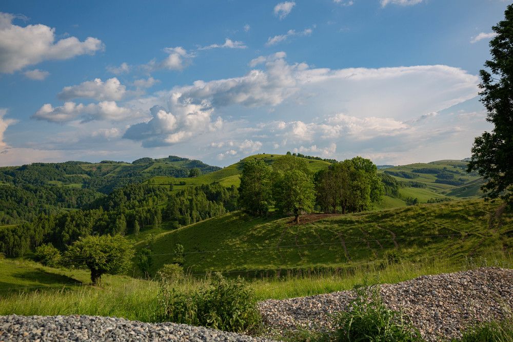 Photograph by Nanu Liviu