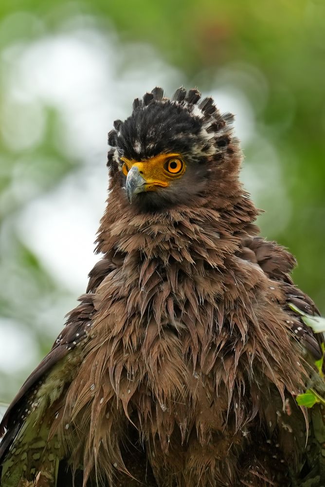 Photograph by Yuwaraj Gurjar