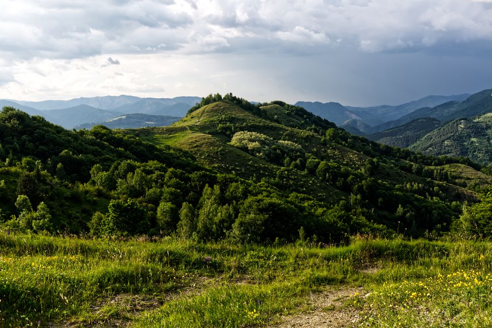 Photograph by Nanu Liviu