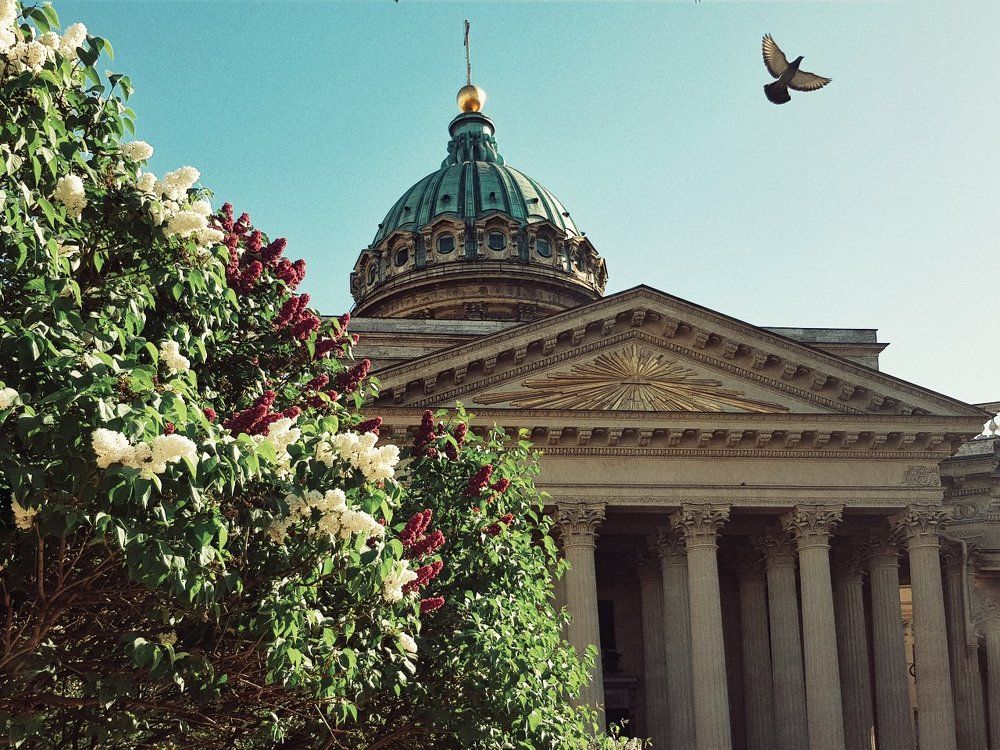 Photograph by Лана Агрба