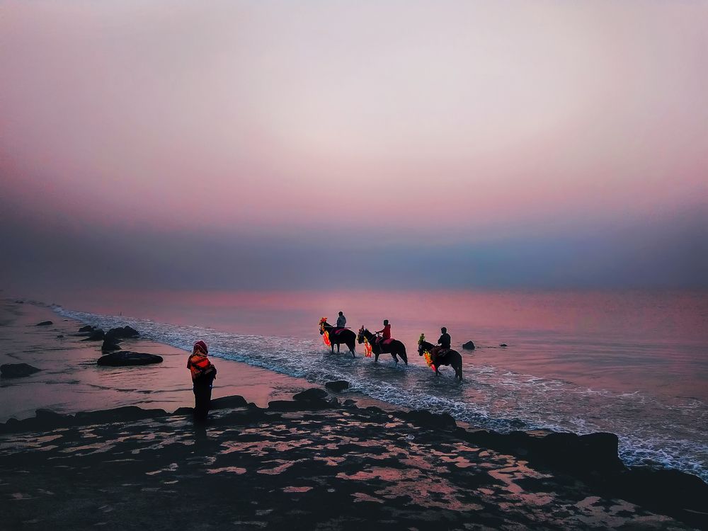 Foggy Sunrise