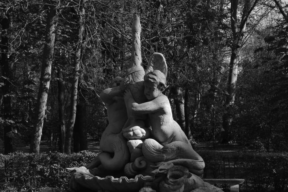 Jugando con el cisne