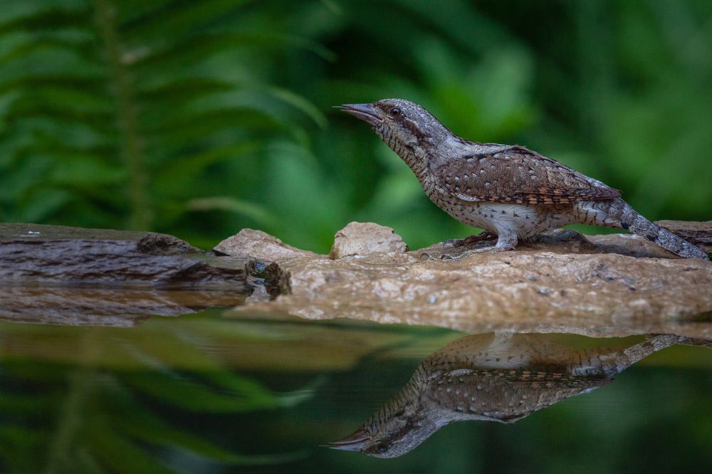 Photograph by Марат Кучкаев