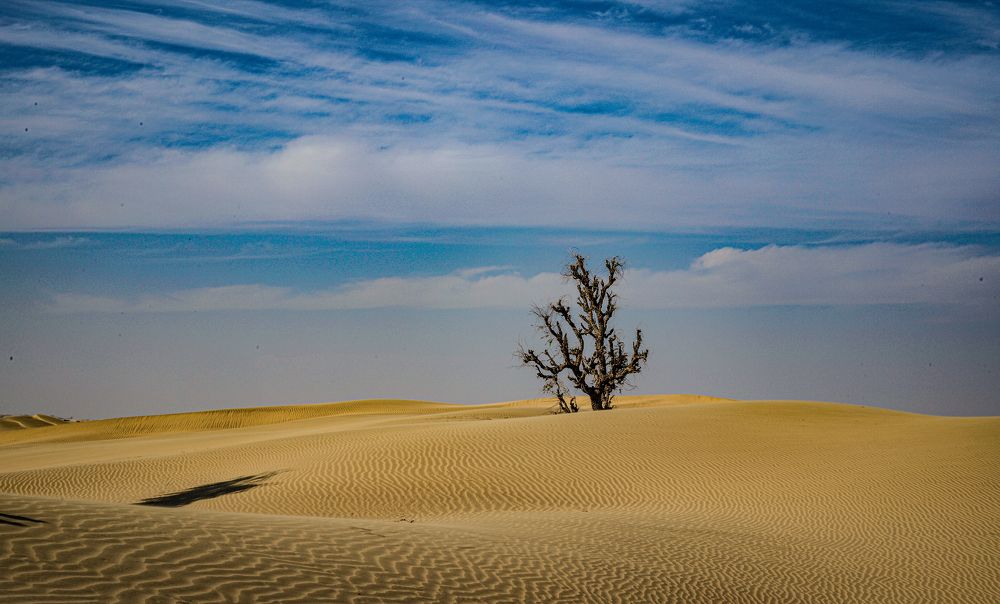 Photograph by Amjad Rashdi