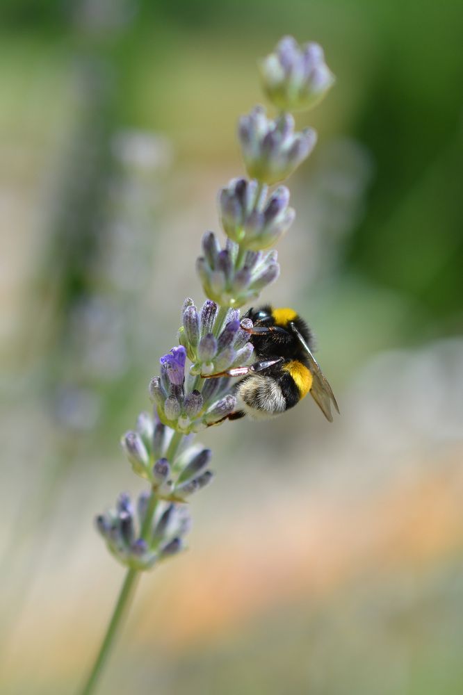 Photograph by Djordje Filipovic