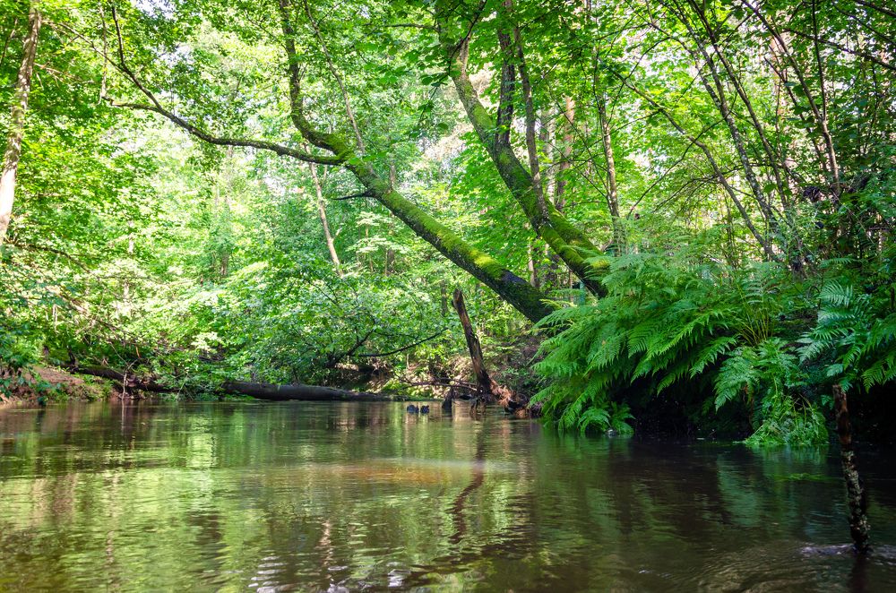 Photograph by Виктор Карпов