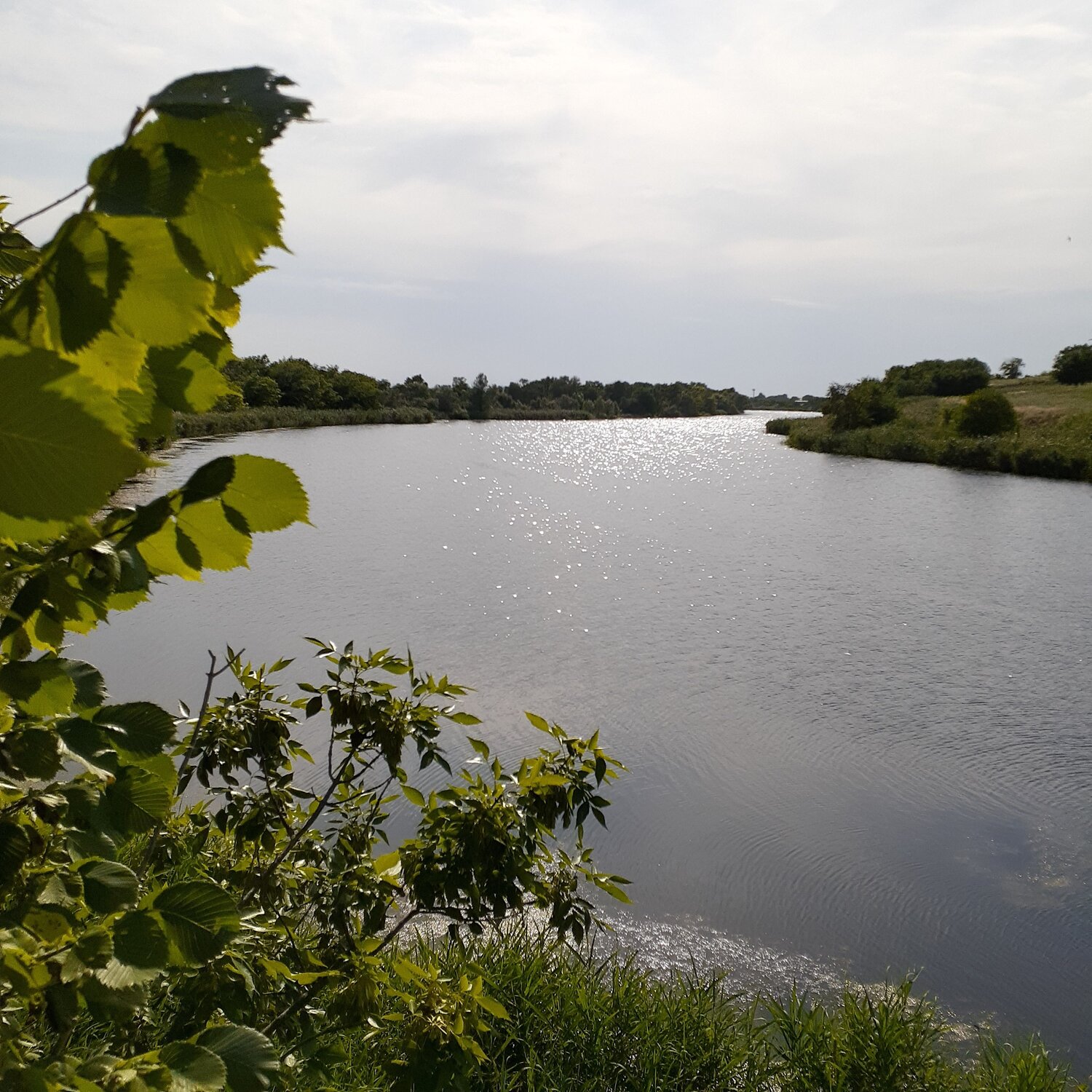 Photo #6228175