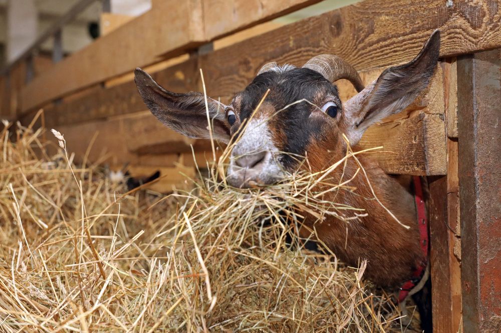 Photograph by Михаил