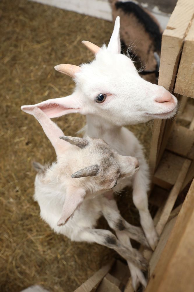 Photograph by Михаил