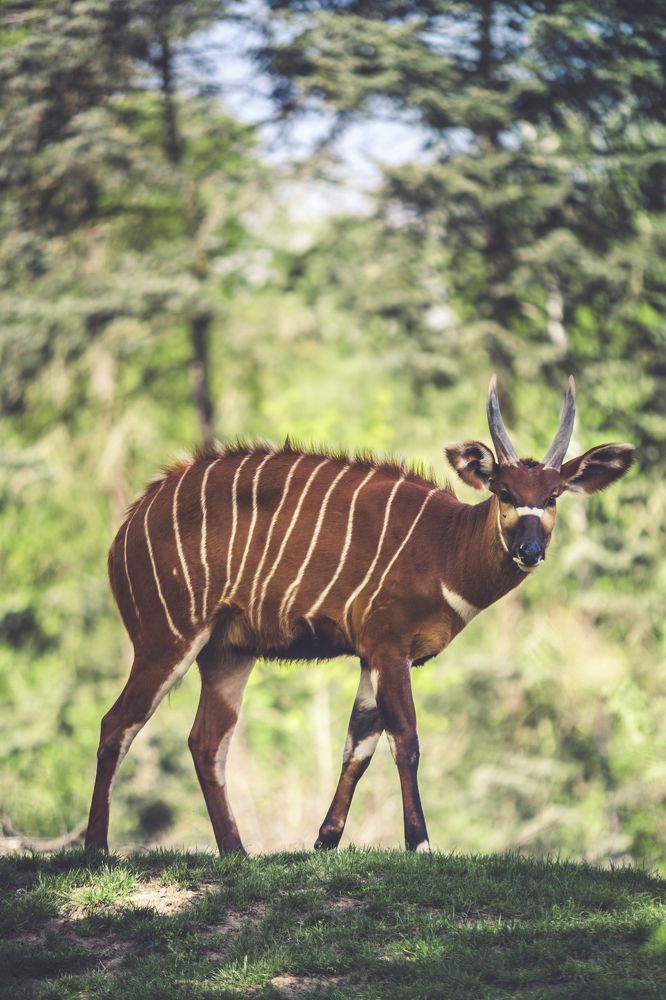 Photograph by Алексей Хоруженко