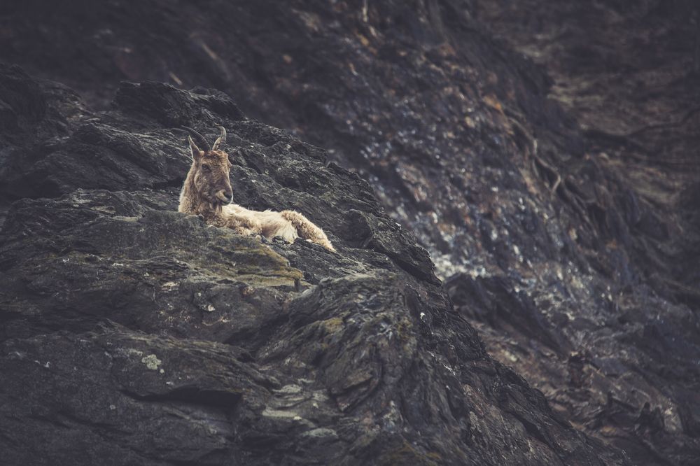 Photograph by Алексей Хоруженко