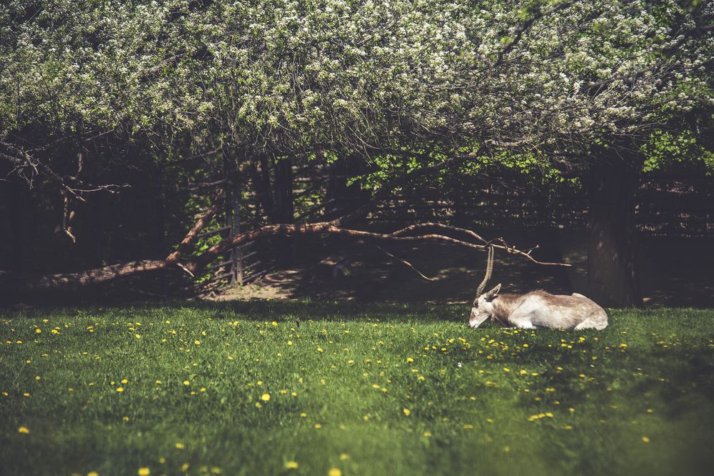 Photograph by Алексей Хоруженко