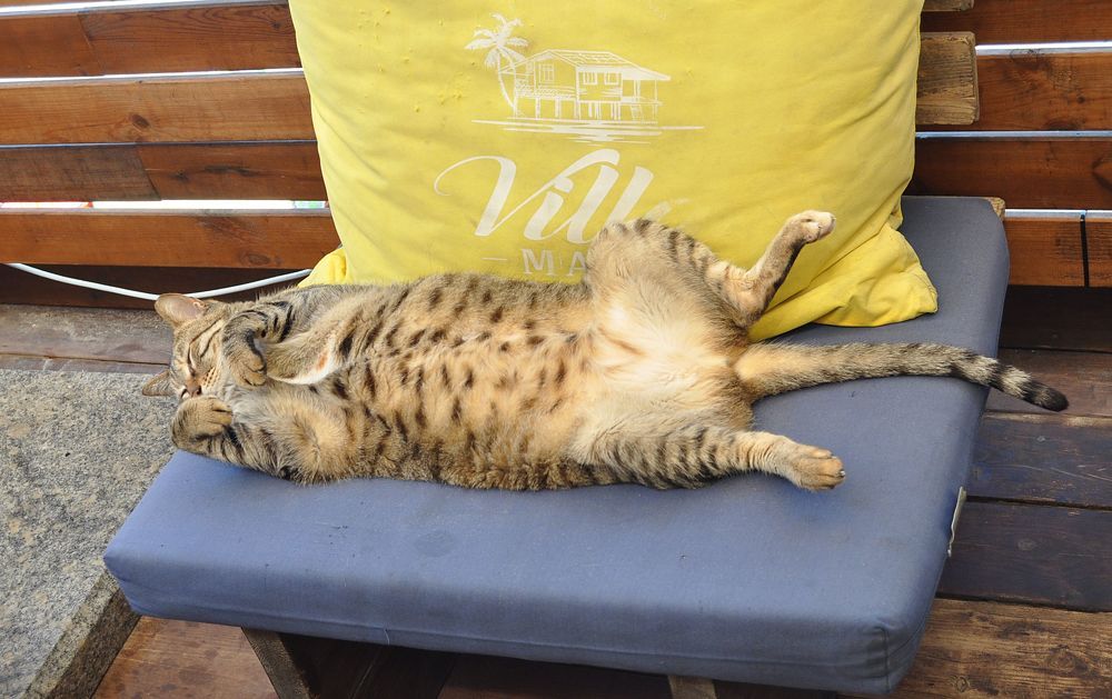 Photograph by Яков