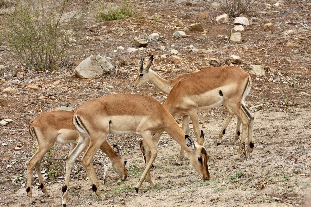 Photograph by Наталья Пирогова