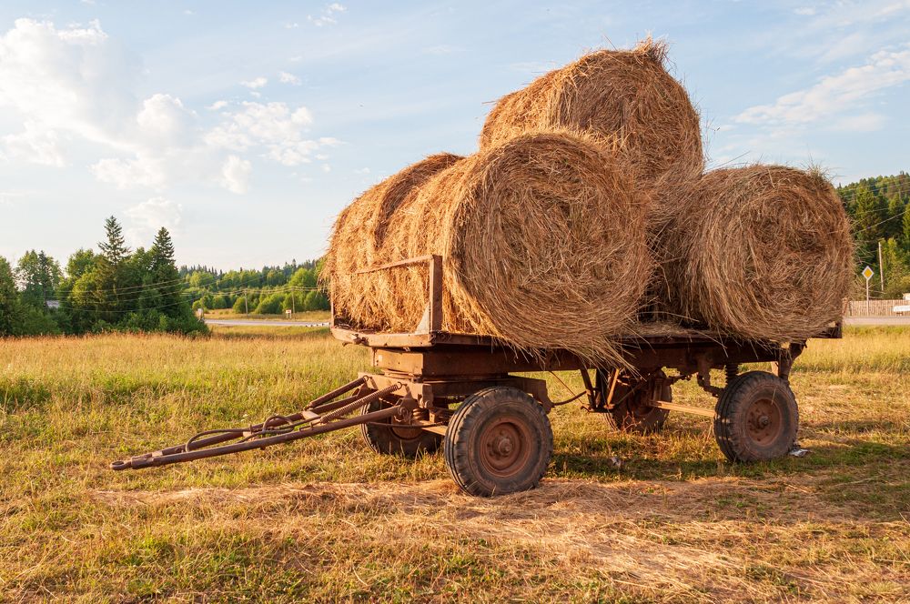 Photograph by Денис Кичев