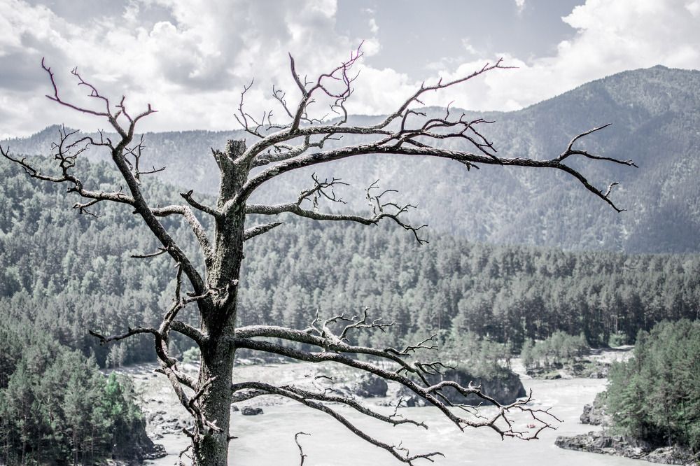 Фотография автора Алексей Хаммер